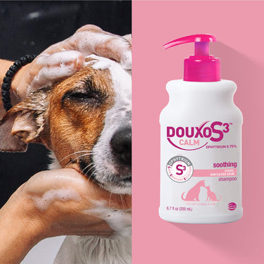 Douxo S3 Calm Shampoo 6.7 oz (200 mL) - For Dogs and Cats with Allergic, Itchy Skin